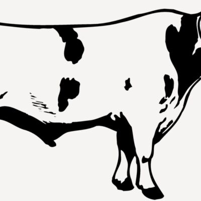 COW020 Thumbnail