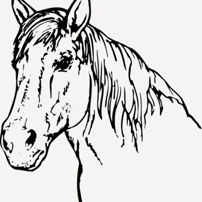 HORSE009 Thumbnail