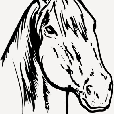 HORSE011 Thumbnail