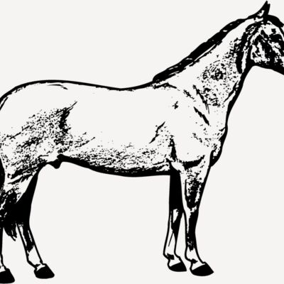HORSE020 Thumbnail