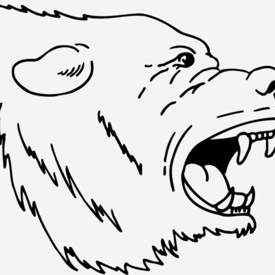 BEAR022 Thumbnail