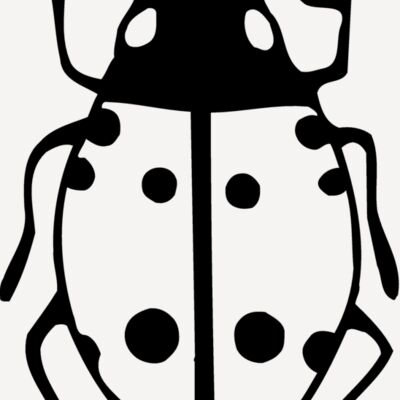 BEETLE03 Thumbnail