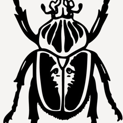 BEETLE04 Thumbnail