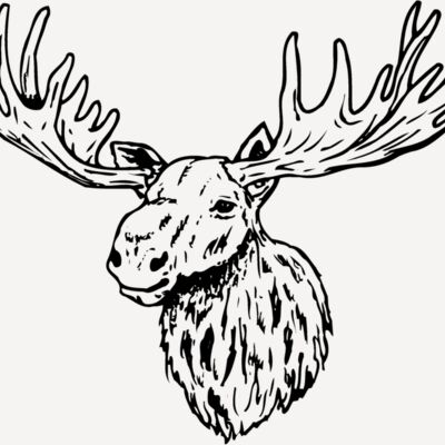 MOOSE001 Thumbnail