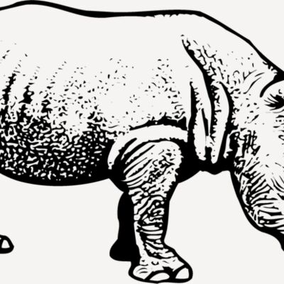 RHINO001 Thumbnail