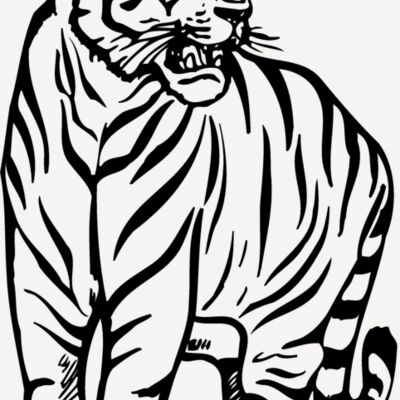 TIGER001 Thumbnail