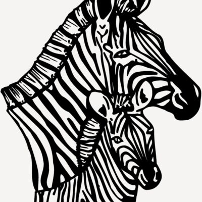 ZEBRA002 Thumbnail